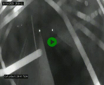 Webcam dans les Pyrénées Atlantique au niveau du col d'Urdos et du fort du Pourtalet sur la N134, en direction du Col et du tunnel du Somport, à 765 mètres d'altitude