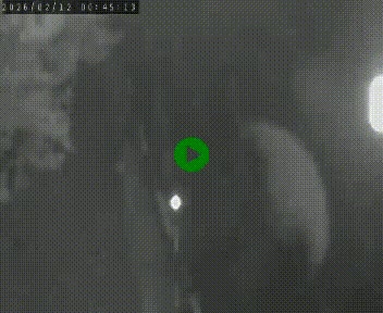 Caméra routière France - N102, au niveau du col de Montmirat à Saint-Etienne-du-Valdonnez à 1039 mètres d'altitude