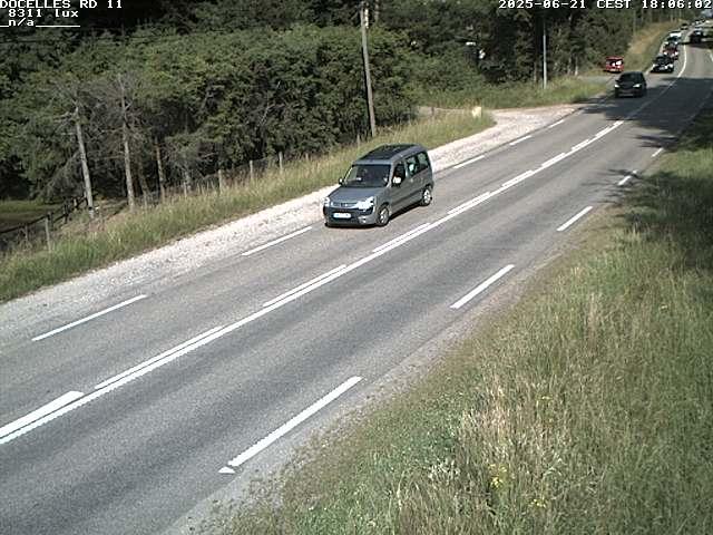 Webcam à 424 mètres d'altitude dans la Tranchée de Docelles dans les Vosges, à proximité d'Epinal sur la route de Gerardmer (D11)