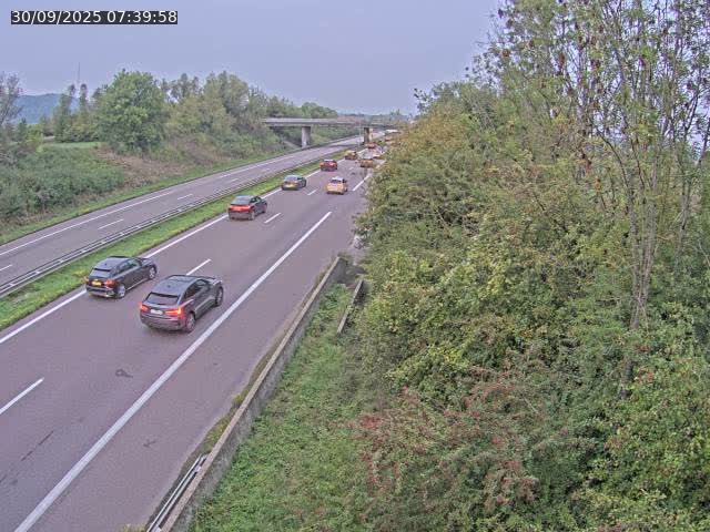 Caméra autoroute France - A31, Kanfen direction Luxembourg