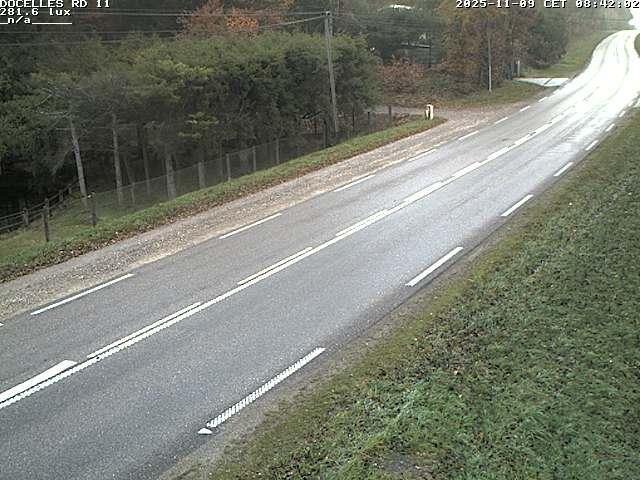 Webcam à 424 mètres d'altitude dans la Tranchée de Docelles dans les Vosges, à proximité d'Epinal sur la route de Gerardmer (D11)
