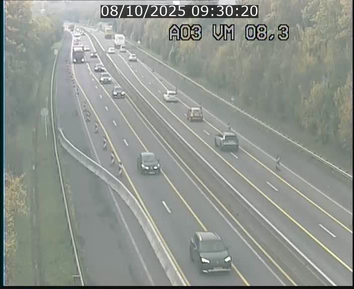 Traffic live webcam Luxembourg Bettembourg - A3 - BK 8.3 - direction France