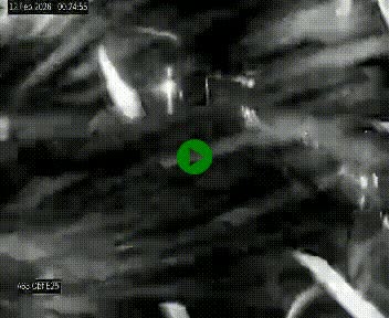 Webcam autoroute A63 en périphérie de Bordeaux au sud-est de la ville, en provenance du bassin d'Arcachon. Vue orientée vers Bordeaux