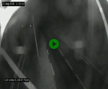 Webcam dans les Pyrénées Atlantique au niveau du col d'Urdos et du fort du Pourtalet sur la N134, en direction du Col et du tunnel du Somport, à 765 mètres d'altitude