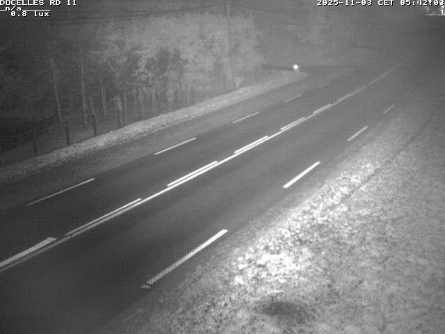 Webcam à 424 mètres d'altitude dans la Tranchée de Docelles dans les Vosges, à proximité d'Epinal sur la route de Gerardmer (D11)