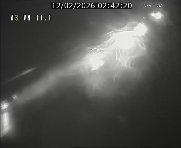 Webcam à la frontière franco-luxembourgeoise, avant la Croix de Bettembourg - BK 11.1 - direction Luxembourg-ville