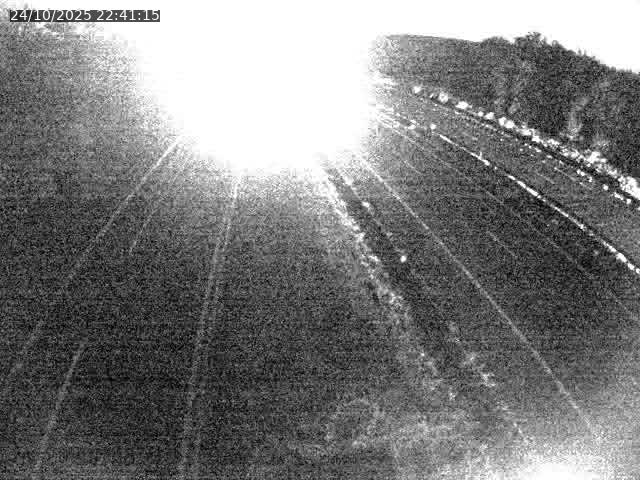 Caméra autoroute France - A31, Velaine-en-Haye direction Nancy