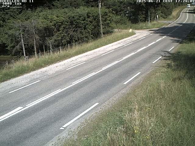 Webcam à 424 mètres d'altitude dans la Tranchée de Docelles dans les Vosges, à proximité d'Epinal sur la route de Gerardmer (D11)
