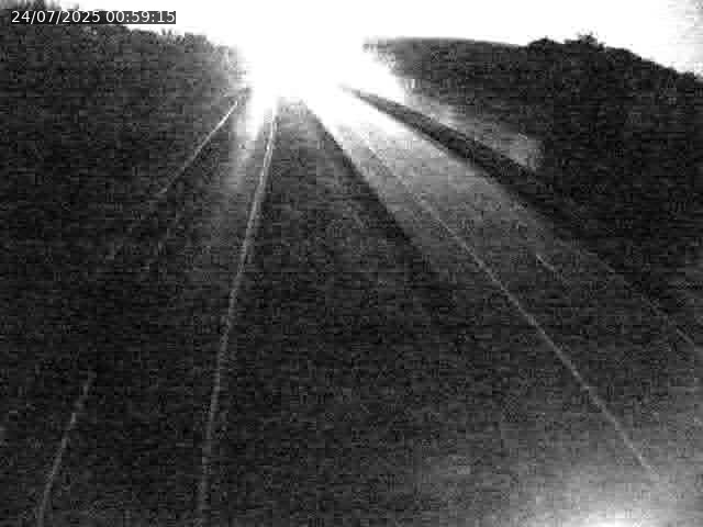 Caméra autoroute France - A31, Velaine-en-Haye direction Nancy