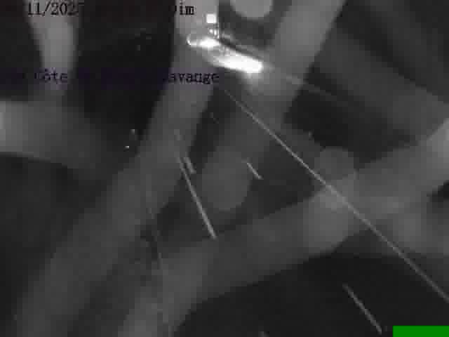 Clone of Webcam sur la D14, dans la côte Saint-Michel. Vue orientée vers Havange