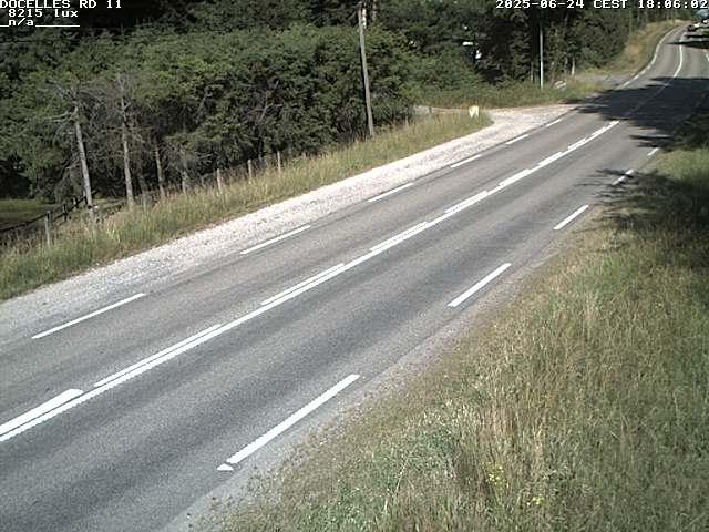 Webcam à 424 mètres d'altitude dans la Tranchée de Docelles dans les Vosges, à proximité d'Epinal sur la route de Gerardmer (D11)