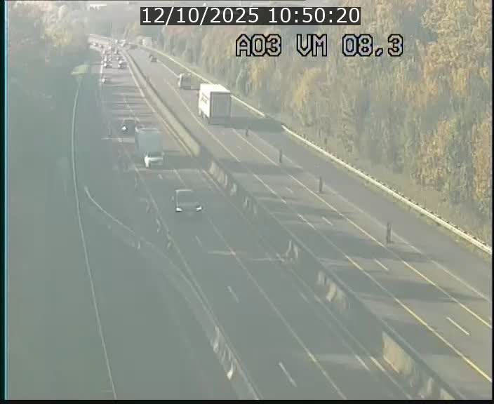 Traffic live webcam Luxembourg Bettembourg - A3 - BK 8.3 - direction France