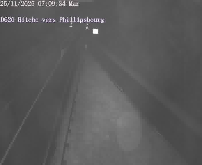 Webcam sur la D620, sur le contournement de Bitche. Vue orientée vers Philippsbourg