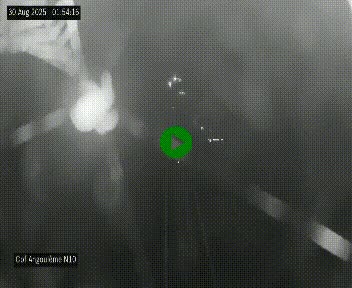 Webcam routière à la fin de la N10, en périphérique ouest d'Angouleme, proche de la jonction avec l'A10