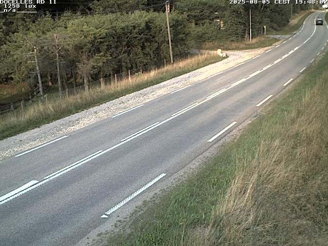 Webcam à 424 mètres d'altitude dans la Tranchée de Docelles dans les Vosges, à proximité d'Epinal sur la route de Gerardmer (D11)