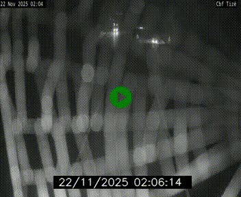 Webcam sur le périphérique de Rennes (N136) à hauteur de Tizé, à l'est de la ville