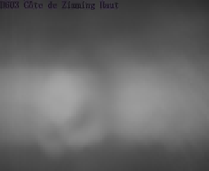 Webcam sur la D603 située en haut de la Côte de Zimming. Vue orientée vers Saint-Avold.