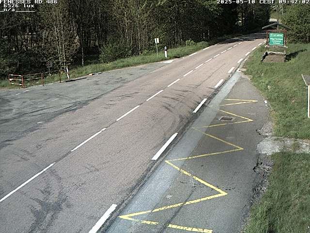 Webcam en haut du col des Fenesses, aussi appelé col du Ménil sur la D486 à 593 mètres d'altitude dans les Vosges