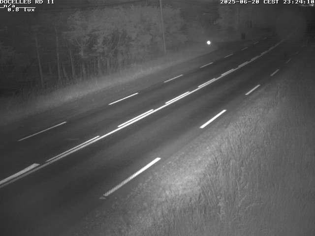 Webcam à 424 mètres d'altitude dans la Tranchée de Docelles dans les Vosges, à proximité d'Epinal sur la route de Gerardmer (D11)