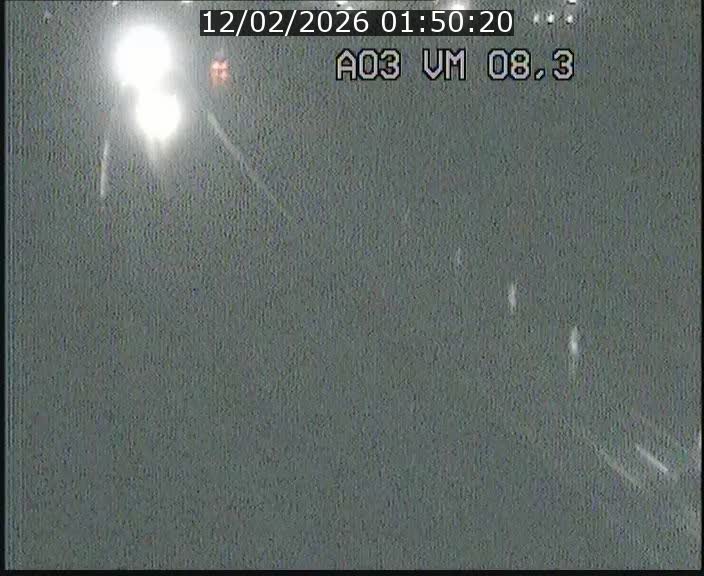 Traffic live webcam Luxembourg Bettembourg - A3 - BK 8.3 - direction France