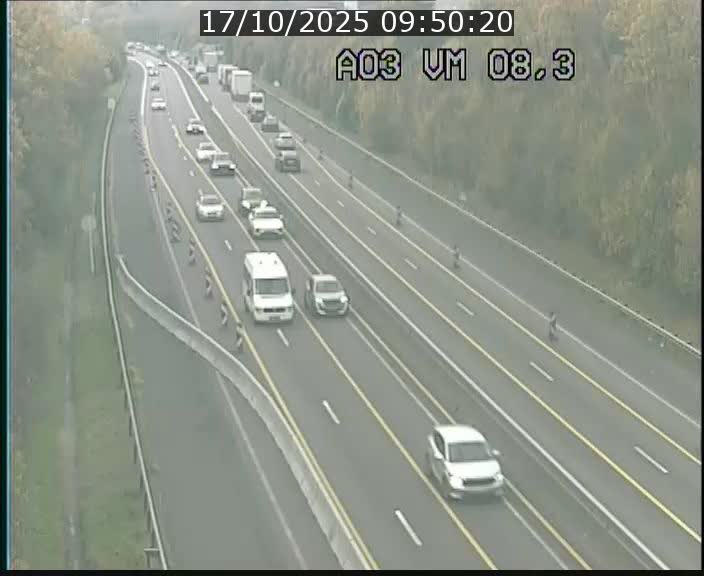 Traffic live webcam Luxembourg Bettembourg - A3 - BK 8.3 - direction France