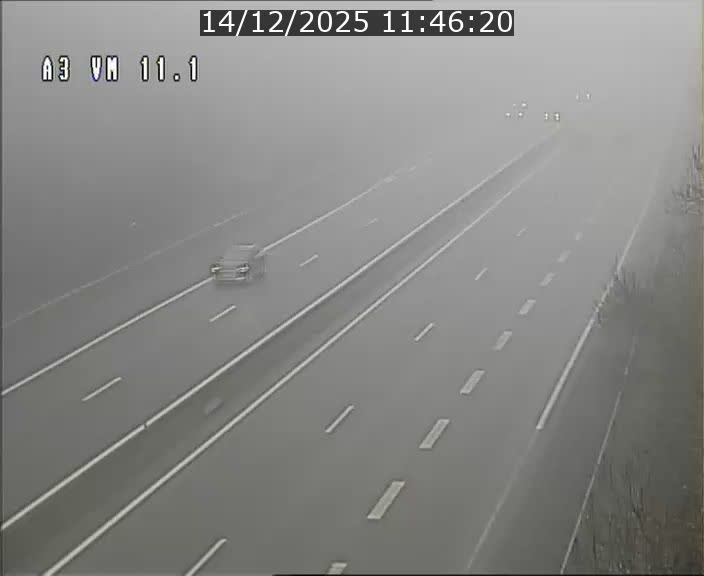 Webcam à la frontière franco-luxembourgeoise, avant la Croix de Bettembourg - BK 11.1 - direction Luxembourg-ville