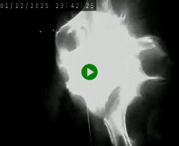 Caméra autoroute A75 à hauteur de Le Crest, en direction de Montpellier