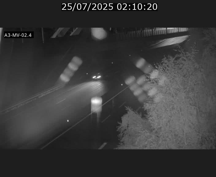 Webcam autoroute de la France (A3) au Luxembourg à Fentange, à proximité de la Croix de Gasperich. Vue orientée vers la Cloche d'Or