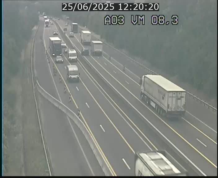 Traffic live webcam Luxembourg Bettembourg - A3 - BK 8.3 - direction France
