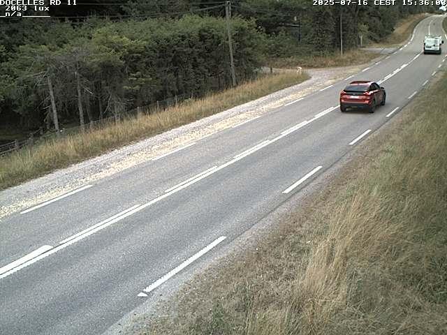 Webcam à 424 mètres d'altitude dans la Tranchée de Docelles dans les Vosges, à proximité d'Epinal sur la route de Gerardmer (D11)