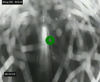 Webcam autoroute A63 en périphérie de Bordeaux au sud-est de la ville, en provenance du bassin d'Arcachon. Vue orientée vers Bordeaux