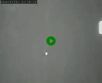 Caméra routière France - N102, au niveau du col de Montmirat à Saint-Etienne-du-Valdonnez à 1039 mètres d'altitude