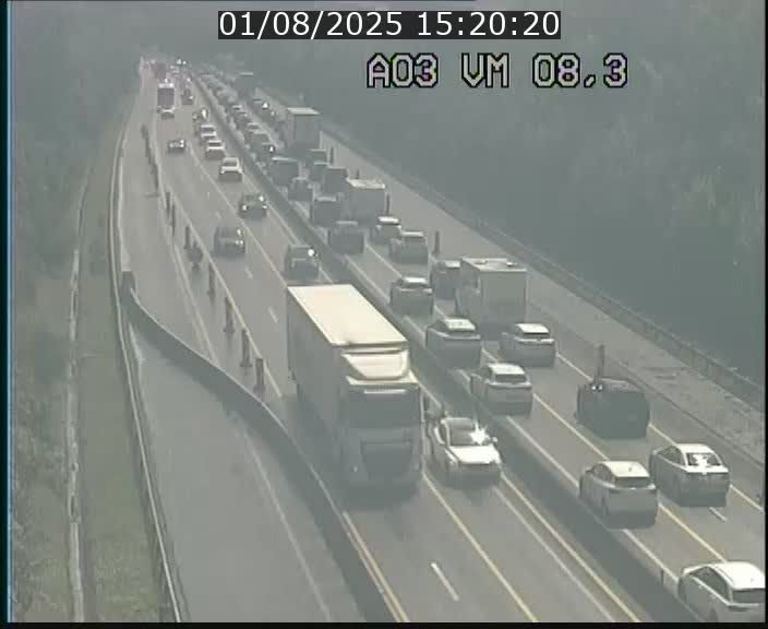 Traffic live webcam Luxembourg Bettembourg - A3 - BK 8.3 - direction France