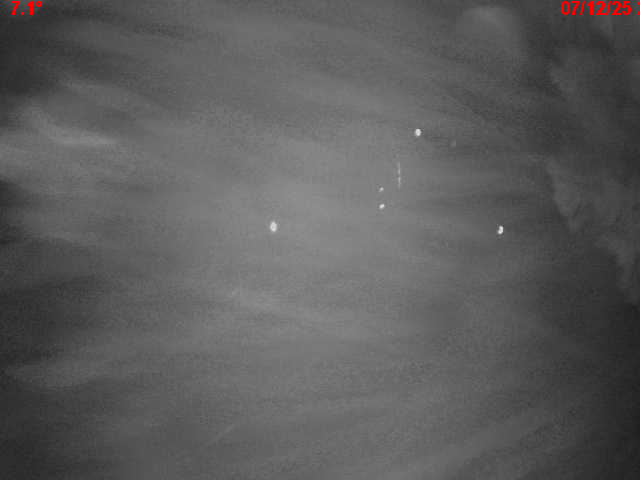 Webcam en haut du col du Ballon d'Alsace sur la D465 à 1075 mètres d'altitude dans les Vosges