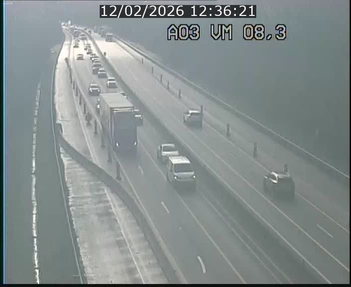 Traffic live webcam Luxembourg Bettembourg - A3 - BK 8.3 - direction France