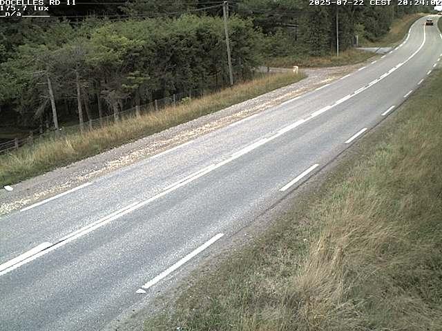 Webcam à 424 mètres d'altitude dans la Tranchée de Docelles dans les Vosges, à proximité d'Epinal sur la route de Gerardmer (D11)