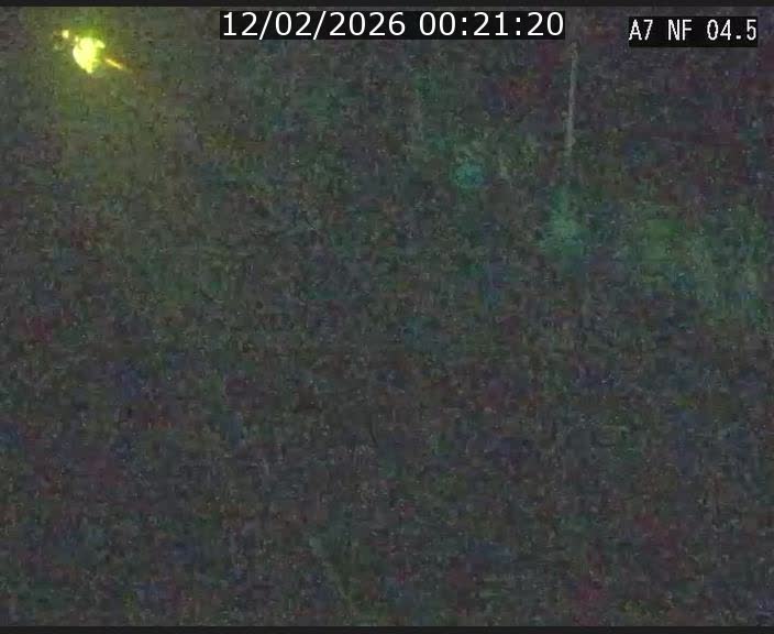 Caméra autoroute Luxembourg A7 - Passage à gibier Rëngelbour - direction Tunnel Grouft