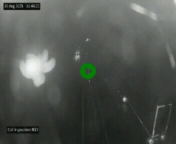 Webcam routière à la fin de la N10, en périphérique ouest d'Angouleme, proche de la jonction avec l'A10