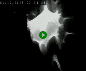 Caméra autoroute A75 à hauteur de Le Crest, en direction de Montpellier