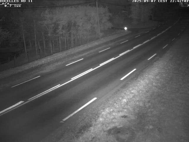 Webcam à 424 mètres d'altitude dans la Tranchée de Docelles dans les Vosges, à proximité d'Epinal sur la route de Gerardmer (D11)