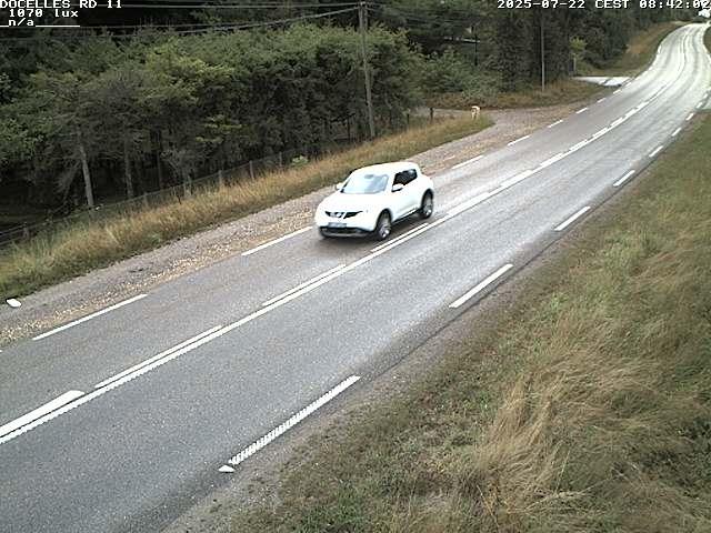 Webcam à 424 mètres d'altitude dans la Tranchée de Docelles dans les Vosges, à proximité d'Epinal sur la route de Gerardmer (D11)