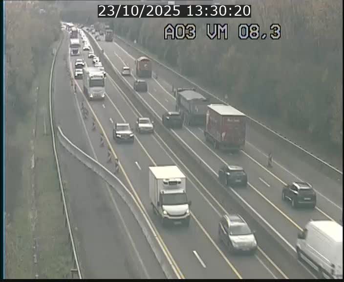 Traffic live webcam Luxembourg Bettembourg - A3 - BK 8.3 - direction France