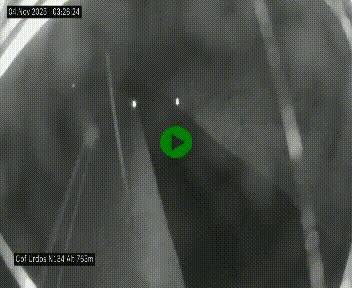 Webcam dans les Pyrénées Atlantique au niveau du col d'Urdos et du fort du Pourtalet sur la N134, en direction du Col et du tunnel du Somport, à 765 mètres d'altitude