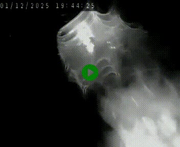 Caméra autoroute A75 à hauteur de Le Crest, en direction de Montpellier