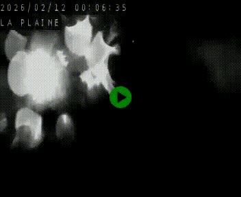 Caméra routière France - N109, Juvignac - La plaine, en direction de Clermont l'Hérault, à la sortie de Montpellier