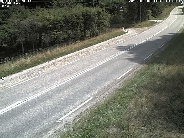 Webcam à 424 mètres d'altitude dans la Tranchée de Docelles dans les Vosges, à proximité d'Epinal sur la route de Gerardmer (D11)