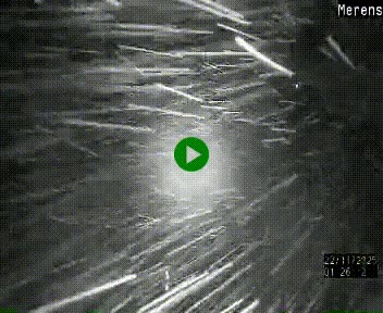 Webcam dans les Pyrénées à hauteur de Mérens-les-Vals sur N320, en direction de Pas de la Casa (Andorre)