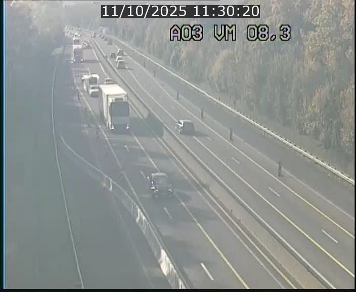 Traffic live webcam Luxembourg Bettembourg - A3 - BK 8.3 - direction France
