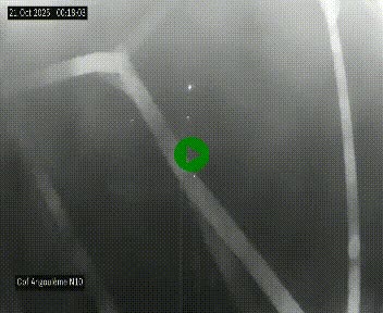 Webcam routière à la fin de la N10, en périphérique ouest d'Angouleme, proche de la jonction avec l'A10