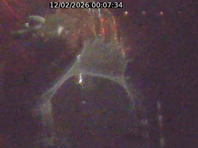 Webcam sur l'avenue John Fitzgerald Kennedy (N51) avec vue orientée vers le Findel